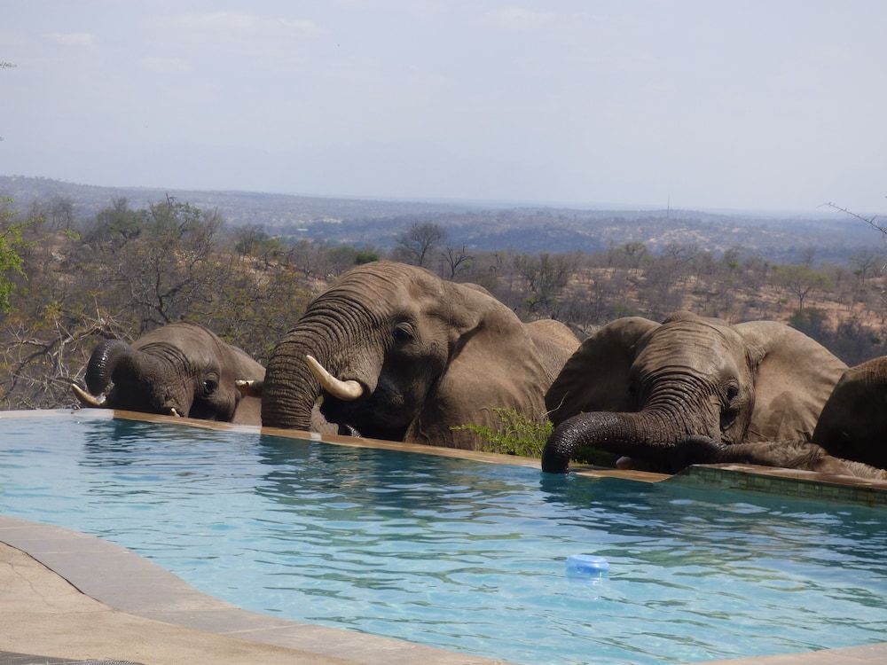 Mbizi Bush Lodge -1 estrellas en Phalaborwa