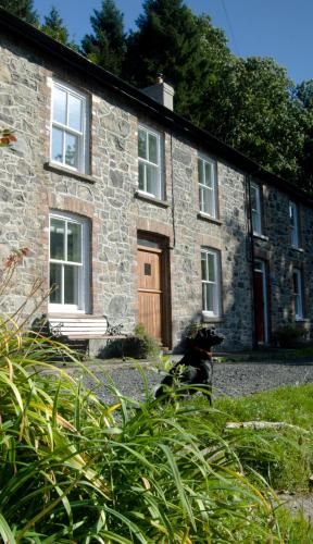 Bronfelin & Troed-y-Rhiw Holiday Cottage 4 estrelas em Llanwrtyd Wells