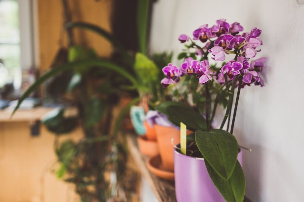 Chalet am Sonnenhang 2