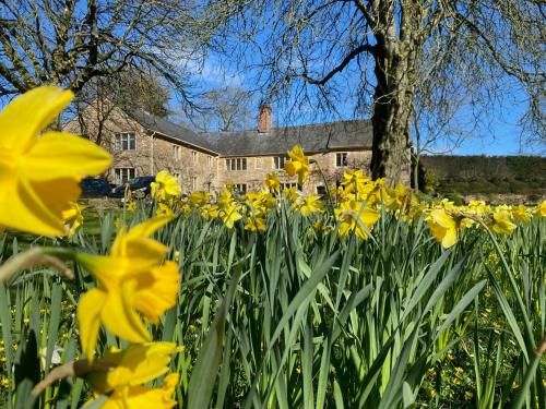 Plumber Manor Hotel 2