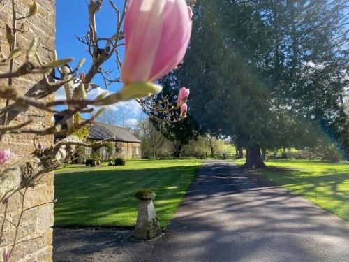 Plumber Manor Hotel 3