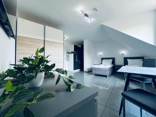Lipp Apartments 3 estrellas en Colonia