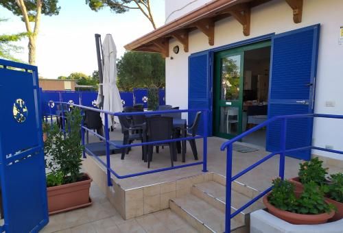 Coccinella 3 estrelas em Sabaudia