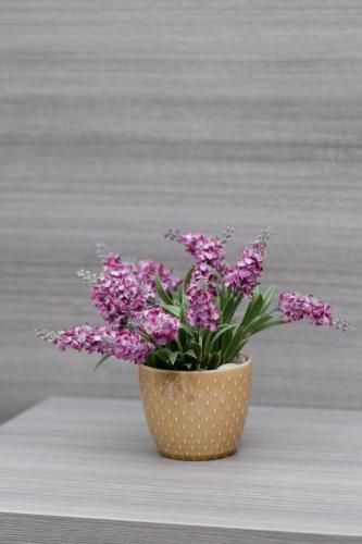 Affittacamere Alessia 2