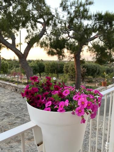 Monte Simeone 3 stelle a Polignano a Mare