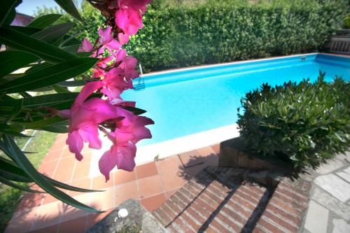 Villa Barbara 2