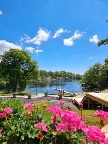 Kolleviks Camping och Stugby 2