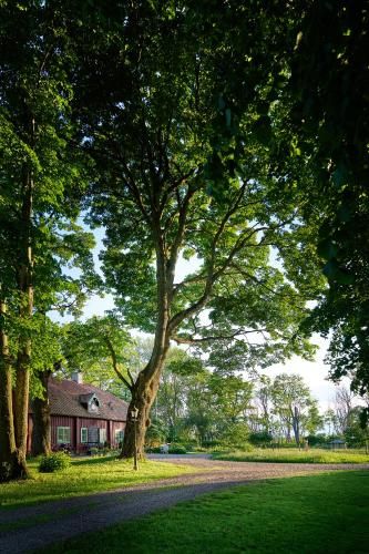 Kungs Starby Gård Bed and Breakfast 3