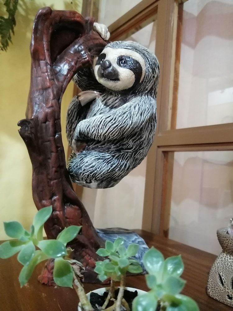 Hotel SantaFe Monteverde 3