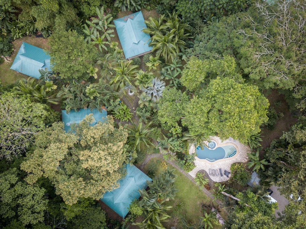 El Nido Jungle Lodge 3 estrellas en Puerto Viejo