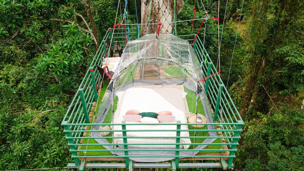 Green Jungle House 2