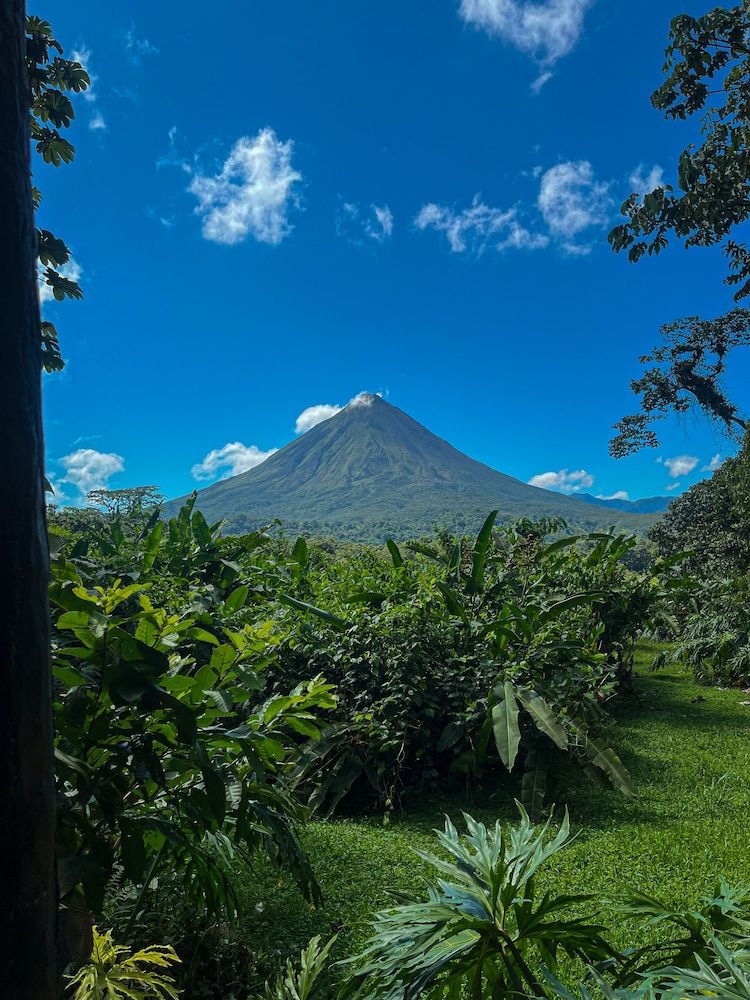 Arenal Roca Suites -1 estrellas en Fortuna