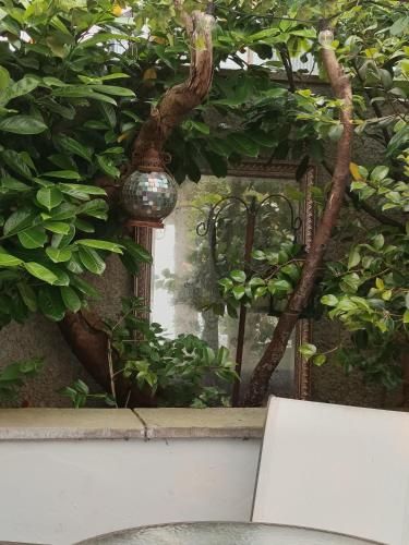 Midtown Farm Bed & Breakfast 3