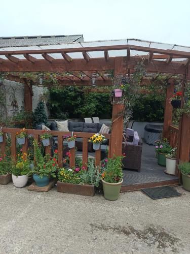 Midtown Farm Bed & Breakfast 2