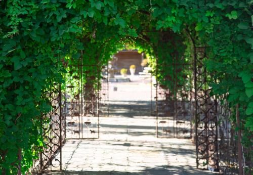 Trading Boundaries 3