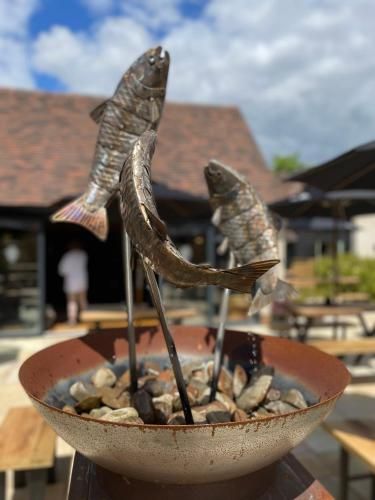 The Duke on The Test 3