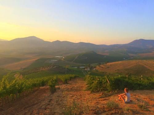 Agriturismo Tarantola 3