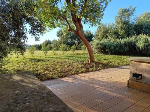 Agriturismo Fontelupo 3