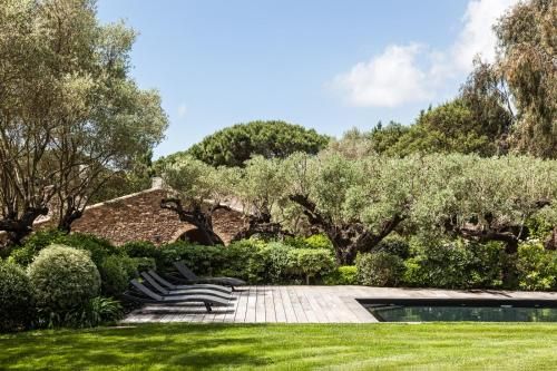 Domaine Les Mésanges 2