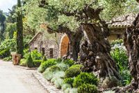 Domaine Les Mésanges