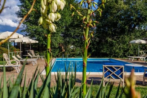 Agriturismo Bio Fattoria Casetta 2