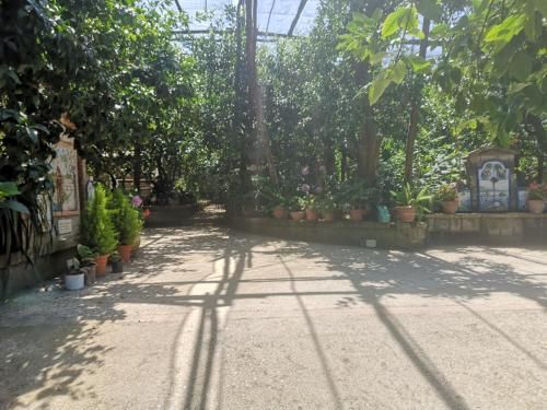 Agriturismo Il Giardino di Vigliano 2