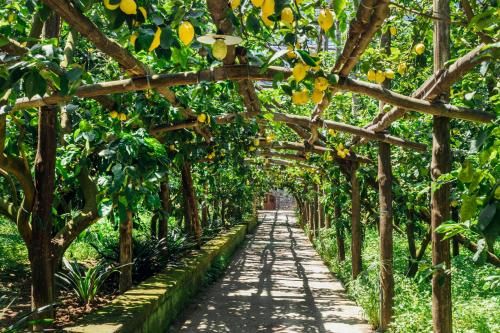 Agriturismo Il Giardino di Vigliano 3 estrelas em Massa Lubrense