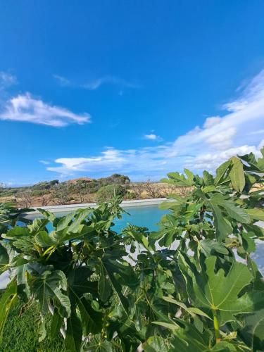 Agriturismo Lu Nodu 3