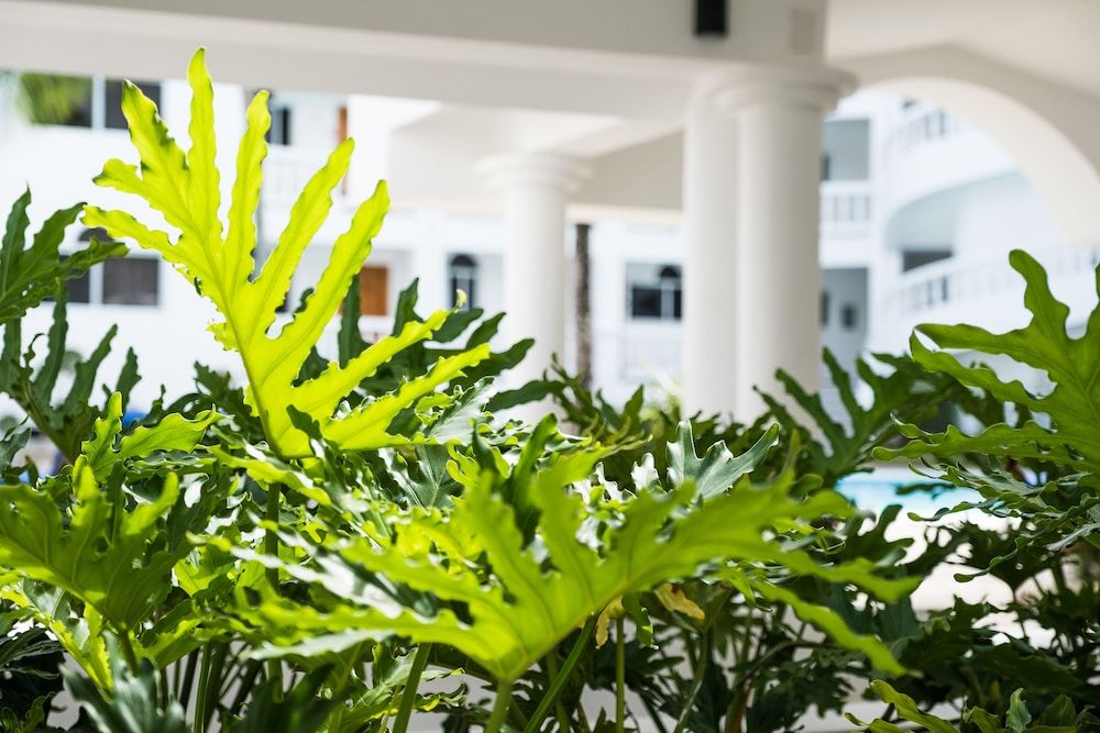 Ocean Palms Residences 2