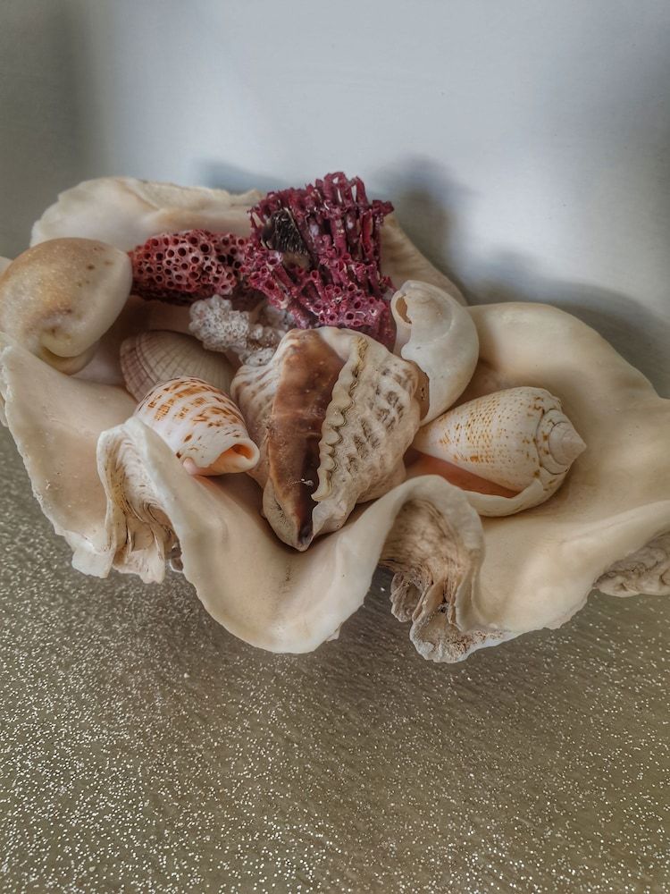 Gadea Boutique Hotel & Gadea Garden Restaurant 2