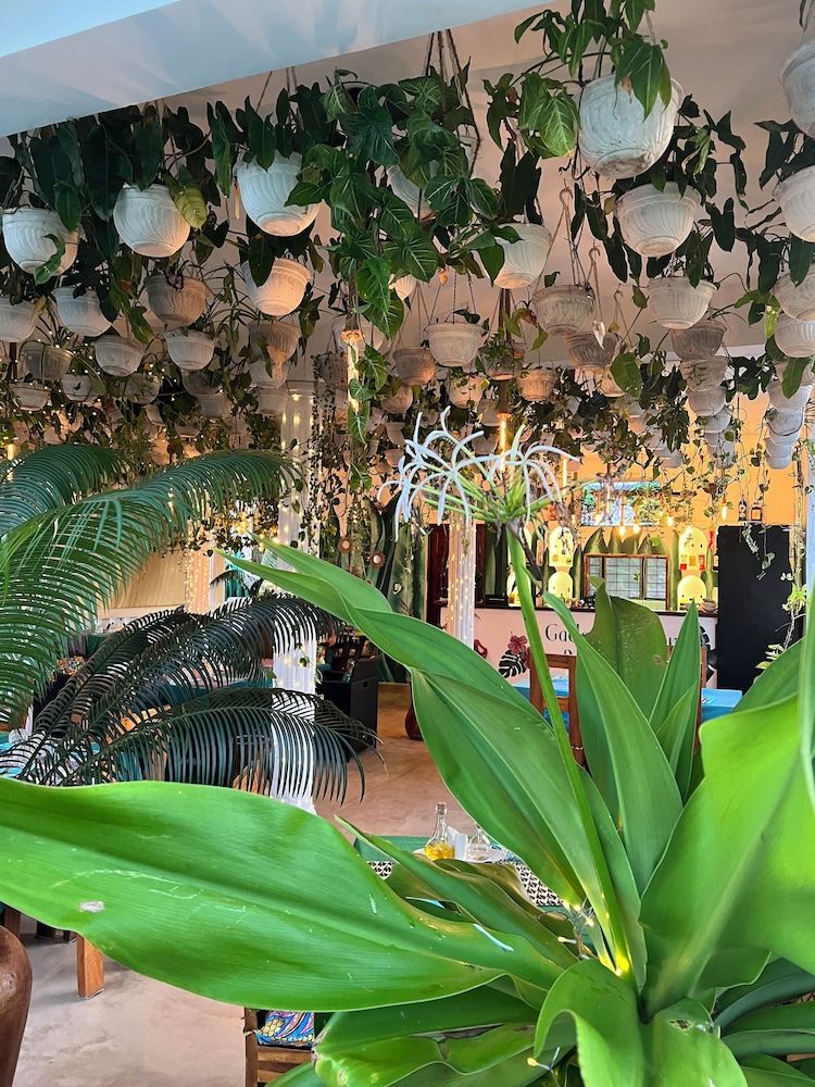 Gadea Boutique Hotel & Gadea Garden Restaurant