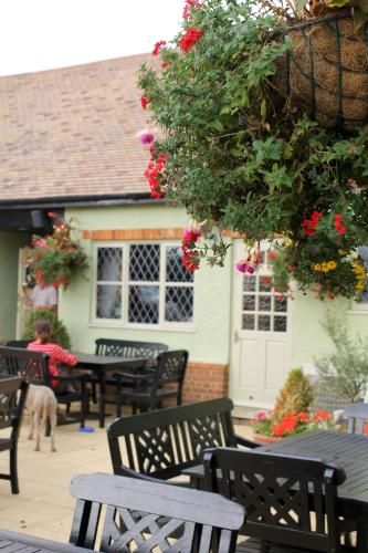 The Green Man Stanford 3