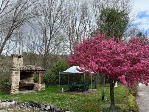 Finca Paraíso Rural 3