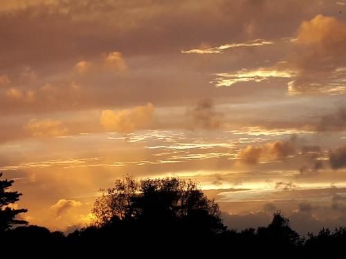 Auberge Granit Rose - Hébergement partagé en Auberge de Jeunesse - Vue sur mer - Dortoir mixte & Camping 3