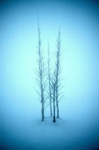 Lynhams Hotel 3 estrelas em Laragh