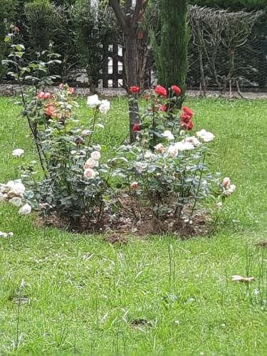 Hostellerie de La Roseraie 2