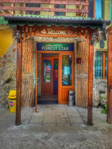 Hotel Forest Star on the Ski Slope 3