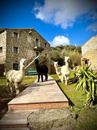 Les Bergeries de Figari