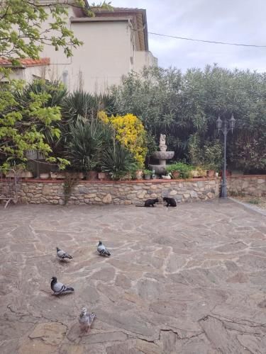 Hébergements à La Rive, Accueil ouvert tous les jours jusqu'à 20h00 dernier délai, depuis 30 ans ! Réserver ici svp ! Merci ! Aucun règlement à distance accepté, Paiement par CB, Espèces, Chèque ou Chèques-Vacances impérativement à la remise des clefs ! 3