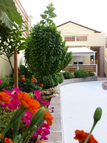 Sunset Apartments Free shuttle from Athen's Airport 3