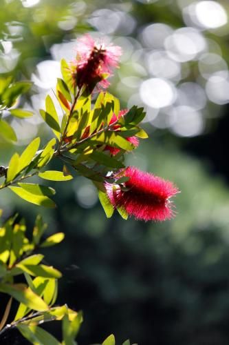 Hotel Résidence Le Sporting 2