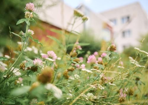 Akademiehotel Jena 2