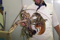 Ai Campi Di Marcello Hotel