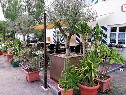 Landhotel Römerkessel 3