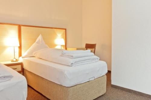 Hotel Ganita Weil am Rhein 3