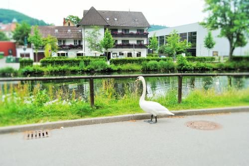 Hotel Schiff Nagold 1