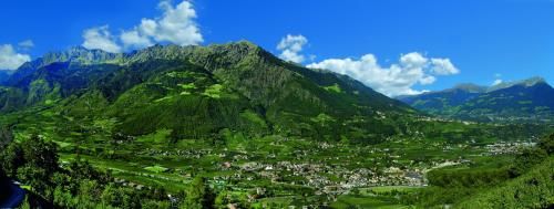 PALMENGARTEN Hotel Gstör 3