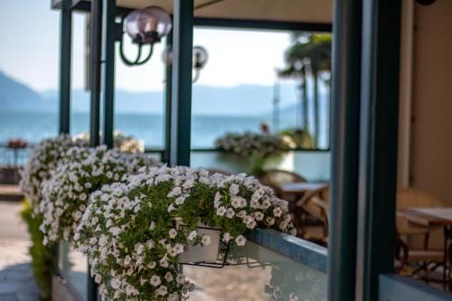 Hotel Torre Imperiale 2