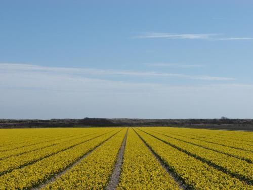 Strandhotel de Horn 3