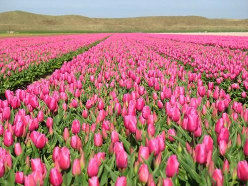 Strandhotel de Horn 2